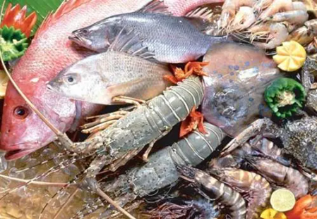 水產品進口報關包裝標簽注意事項（境外企業(yè)注冊信息要求）